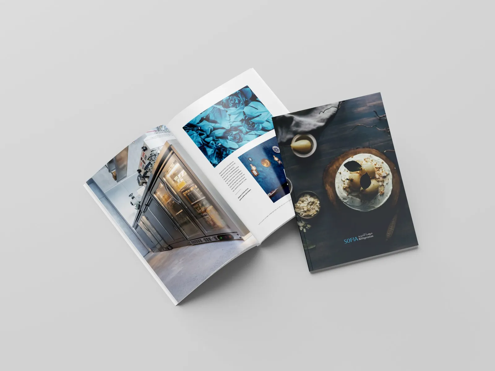 Tri-fold brochure printing sample