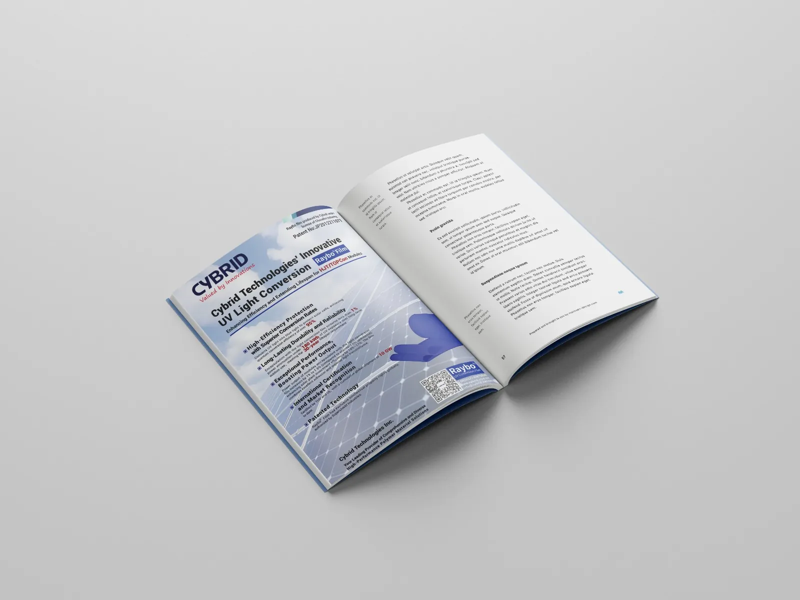 Brand brochure for corporate gifting